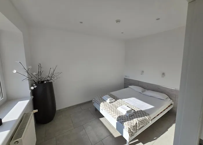 Artel Tarsis * كولوبرزيغ